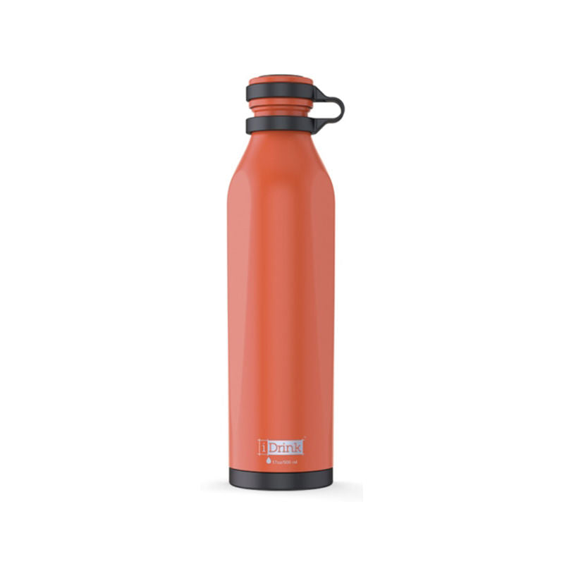 ΠΑΓΟΥΡΙ I DRINK B-EVO BOTTLE 500ML MODIGLIANI ORANG